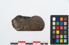 Foto von Glasaugenperle (NHMW-PRAE-025402)